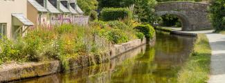 Welsh cottages beside the Llangollen Canal in Wales, UK