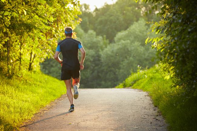 A jogger on a path